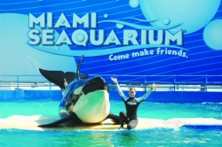 Field Trip to Miami Seaquarium is tomorrow!